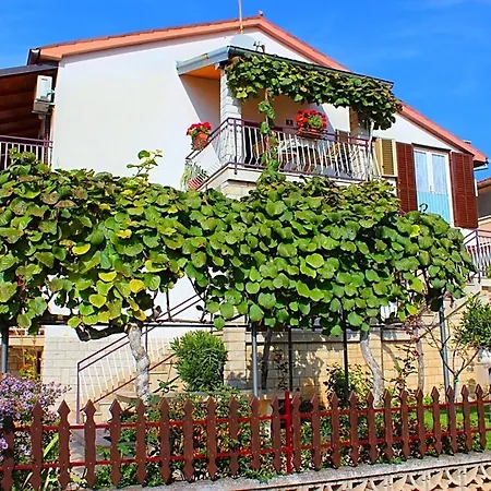 Apartment In Porec/istrien 10495